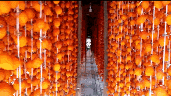 1.gif